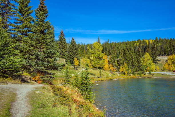 istock The lake Two Jack with emerald water 1066278186