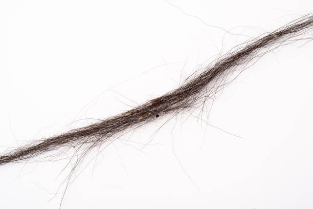 Closeup of a simple black hair band isolated on white background.