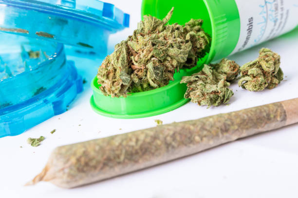 istock Medical Cannabis & Pre-roll 1066282798