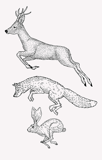 Hand drawn jumping deer, fox, hare. Vintage animal graphic. Christmas greeting card.