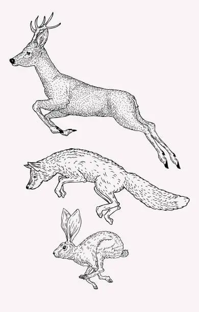 Vector illustration of Hand drawn jumping deer, fox, hare. Vintage animal graphic. Christmas greeting card.