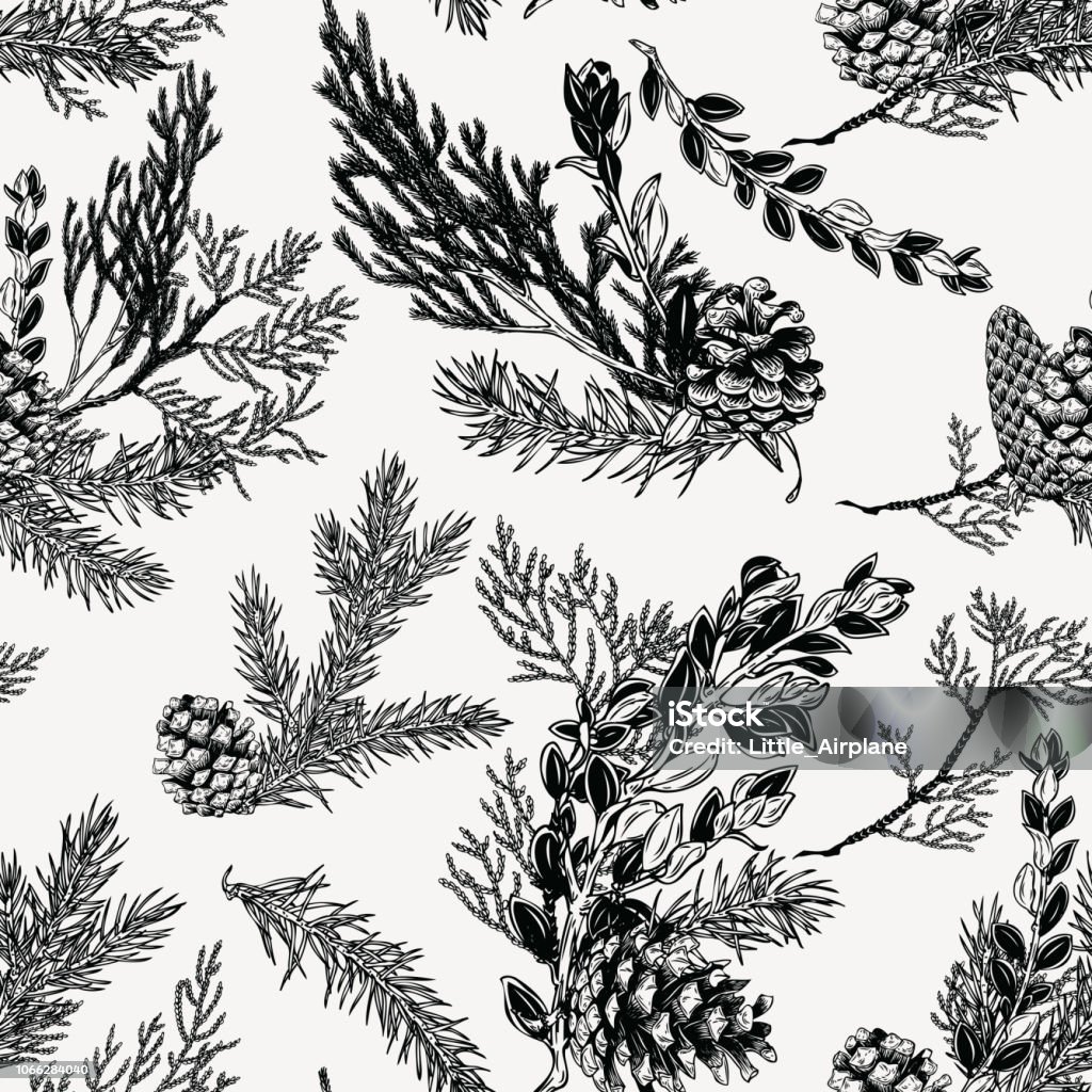 Winter seamless pattern with bouquets of evergreen plants and cones. Hand drawn botanical illustration. Christmas decoration. Etching stock vector