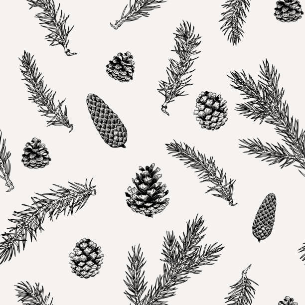 бесшовный зимний узор с нарисованным вручную сосновым конусом и ветвями. ботанический иллюстрационной декор для бумаги, текстиля, упаковк� - scrap booking stock illustrations