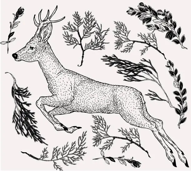 Vector illustration of Hand drawn illustration of jumping deer in vintage style with evergreen branches on background. Retro styled template for greeting design.
