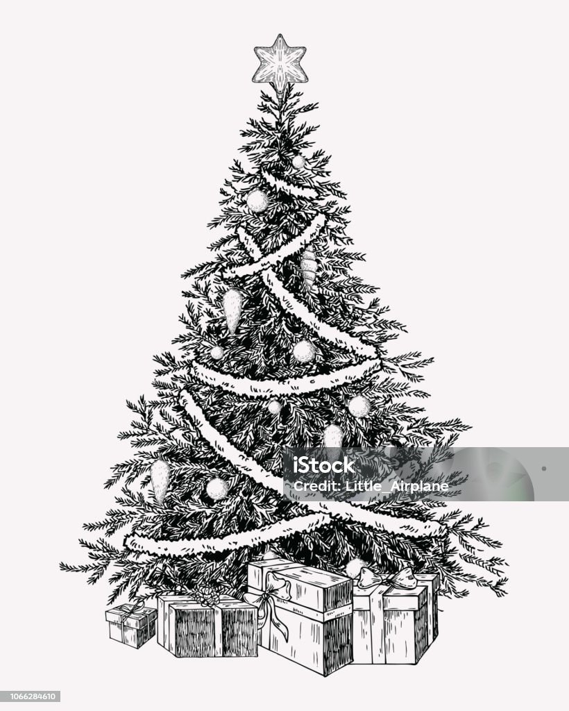 Christmas Tree Vintage Illustation Hand Drawn Holiday Decor ...