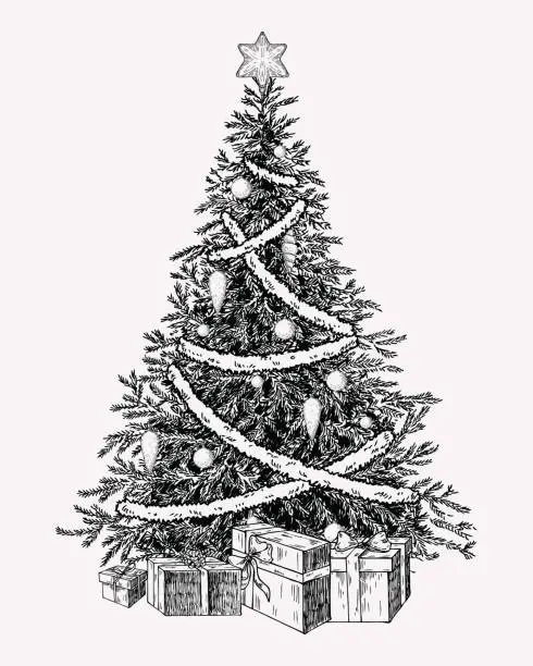 Vector illustration of Christmas tree vintage illustation. Hand drawn holiday decor element.