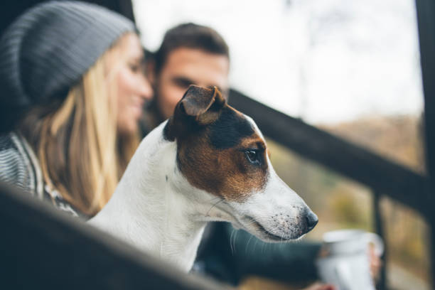 istock Profile of cute terrier with his humans outdors 1066286616