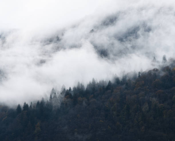 istock foggy autumn mountains 1066291374