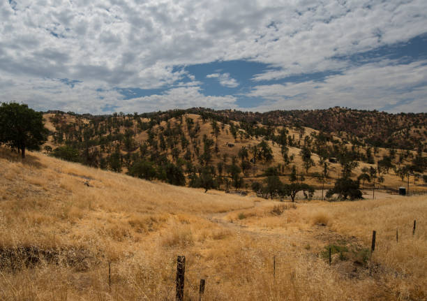 Dry landscape on the foothills of the Sierra