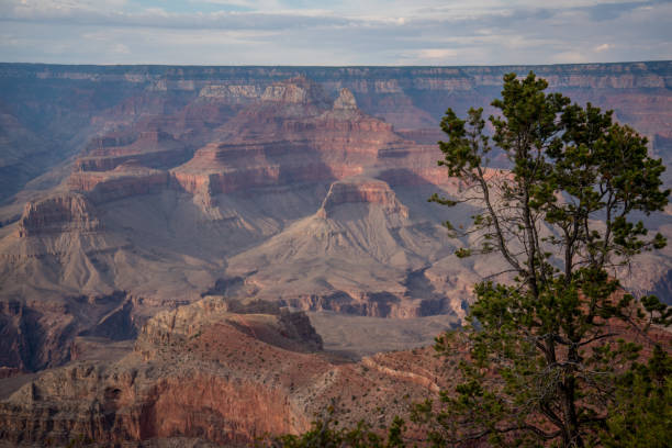 istock The Grand Canyon 1066291568