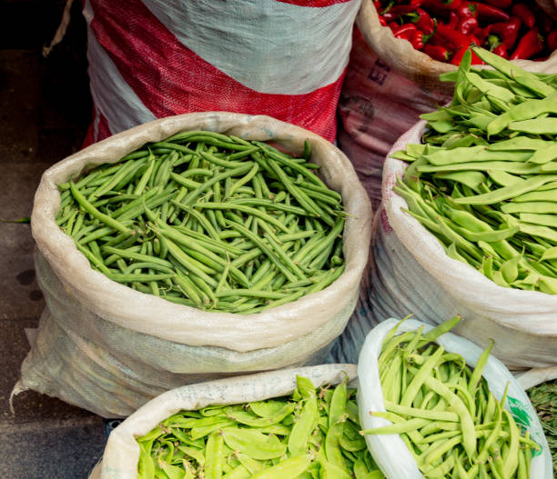 istock Green beans in sacks in the view 1066297318