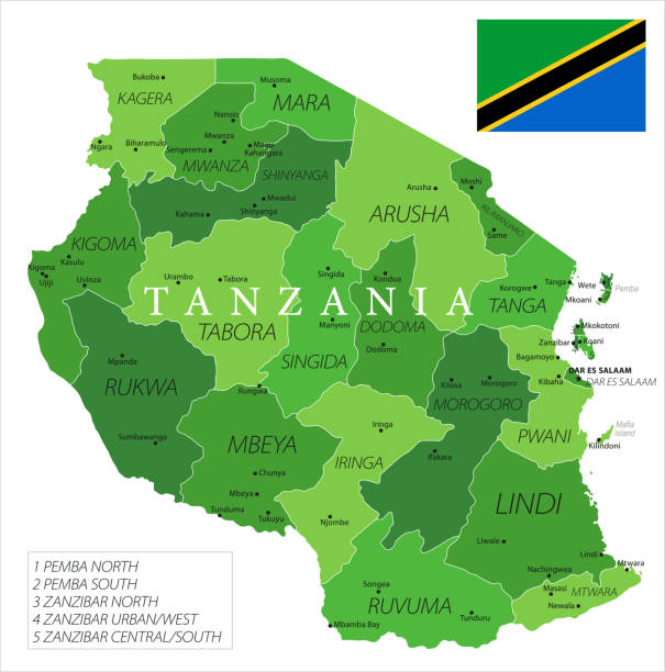 15 - Tanzania - Green Isolated 10 Map of Tanzania - Vector illustration tanzania stock illustrations