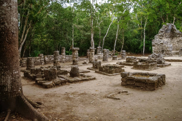 ruinas de la pirámide maya de cobá. méxico. - mayan riviera fotografías e imágenes de stock