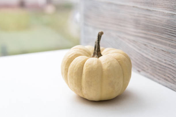 Thanksgiving pumpkin.