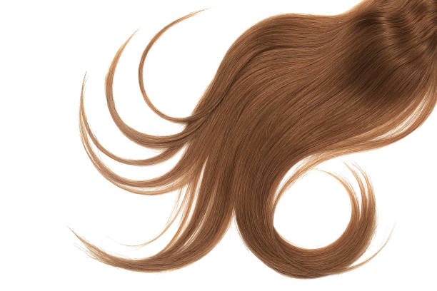istock Lush brown hair isolated on white background 1066307672