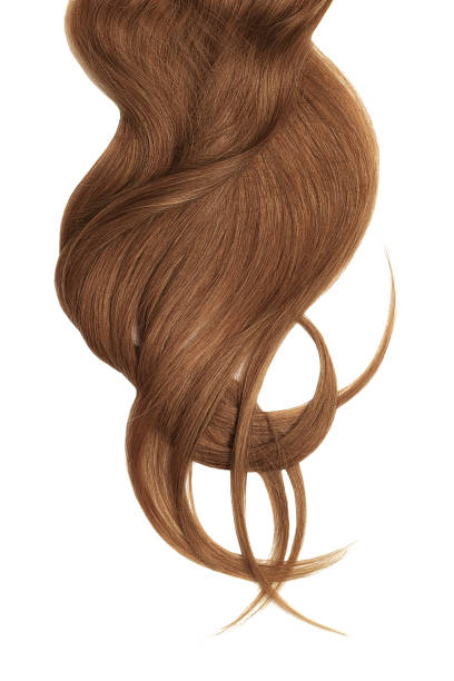 istock Lush brown hair isolated on white background 1066307680