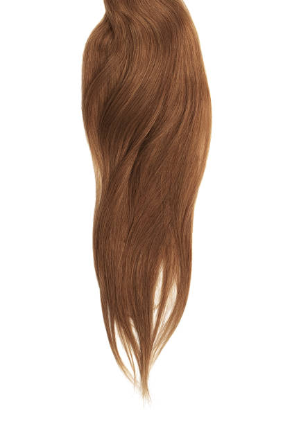 istock Lush brown hair isolated on white background 1066307718