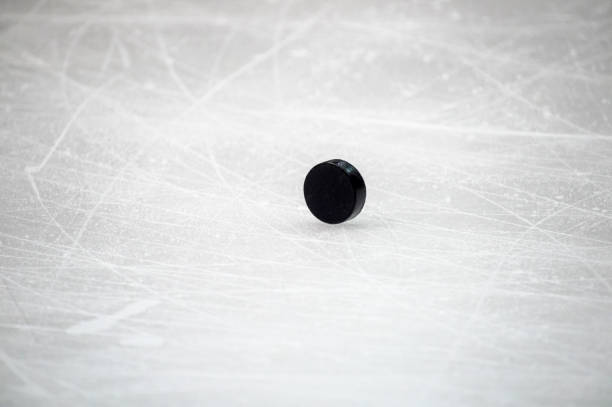 istock Hockey puck stand on side on goal line. Close view 1066310188