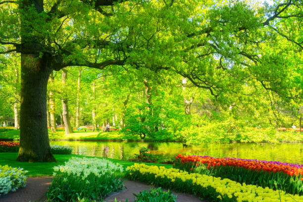 istock fresh lawn with flowers 1066319522