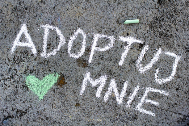 istock Colorful chalk drawing on asphalt: Polish word ADOPT ME 1066320420