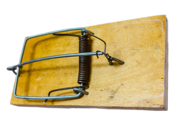 istock old style mousetrap isolated on a white background 1066326128