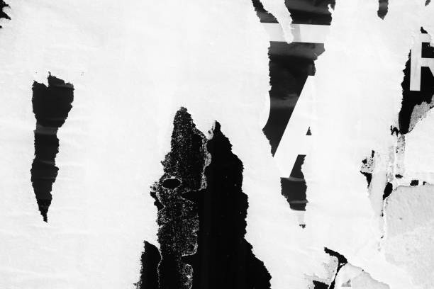 istock Blank white black old ripped torn paper crumpled creased posters grunge textures backdrop backgrounds placard 1066329114
