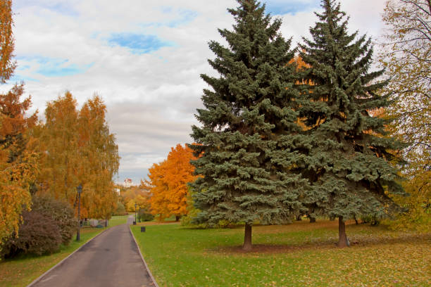 istock Autumn park in the city with a path. 1066329268