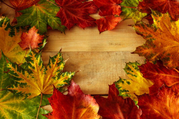 istock Autumn background on yellow leaves with red apples and rosehip 1066332152