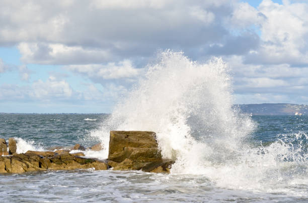 Water of crashing surface wave is illuminated by the sun. stock photo