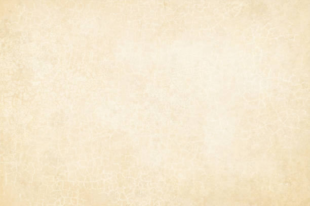 백색 베이지색 색깔 떨어져 오래 된 금이 효과 나무, 벽 텍스처 벡터 배경-가로 - backgrounds beige brown close up stock illustrations