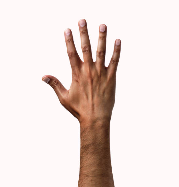 hand symbol African man hand showing the five fingers isolated on a white background men hands stock pictures, royalty-free photos & images