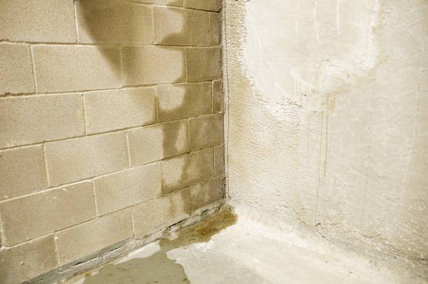 flood in my building Rain water leaks on the wall causing damage basement stock pictures, royalty-free photos & images