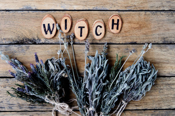 istock Natural Witch - rustic dried herb bundles with the word Witch burnt letters 1066381430