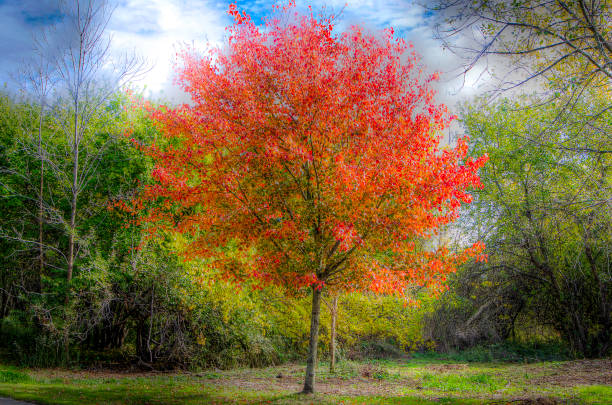 istock Landscape of Michigan 1066385628