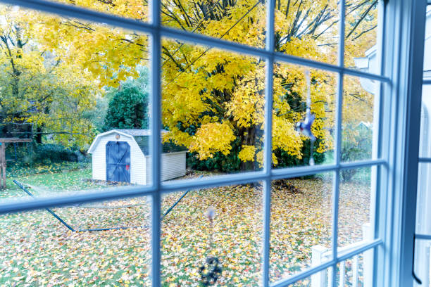 istock Rainy Autumn Day Bright Sugar Maple Tree Leaves 1066400320