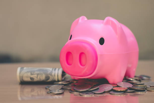 istock Save money in pig pink for future use, Concept saving money for the future. 1066410094