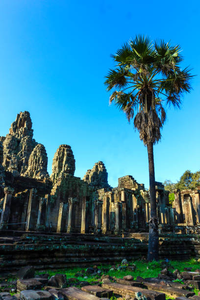 istock Bayon Temple in Siem Reap with tree 1066425112