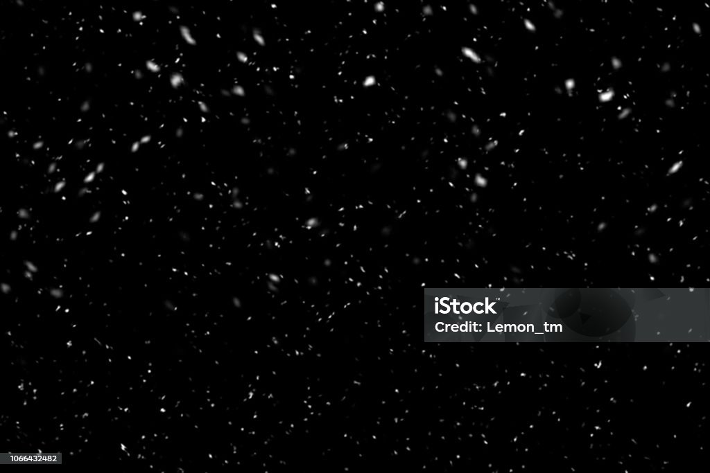 Falling snow on black background. Winter background in pure dark. Heavy snow. Snow Stock Photo