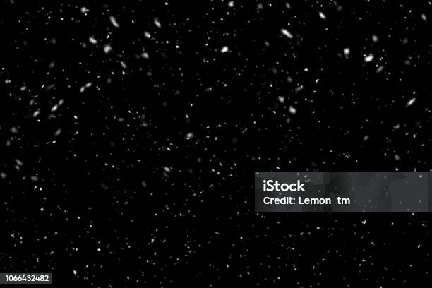 Falling Snow On Black Background Winter Background In Pure Dark Heavy Snow Stock Photo - Download Image Now