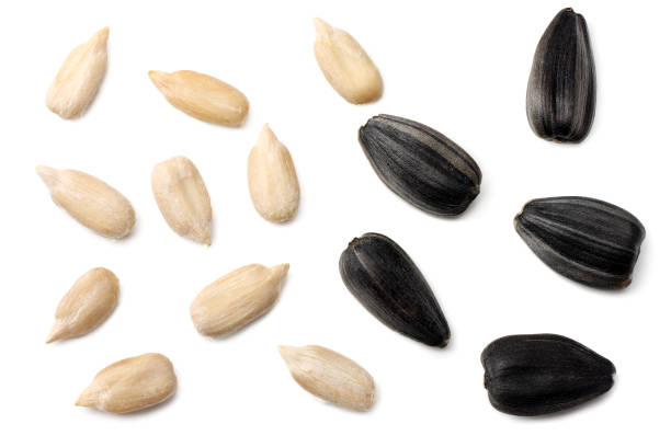 istock sunflower seeds isolated on white background. top view 1066451804