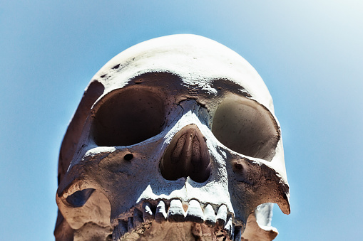 Low-angle look at the top half of an old, worn human skull against a blue summer sky.
