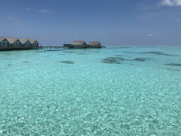 istock landscape beach at a resort in the maldives 1066459128