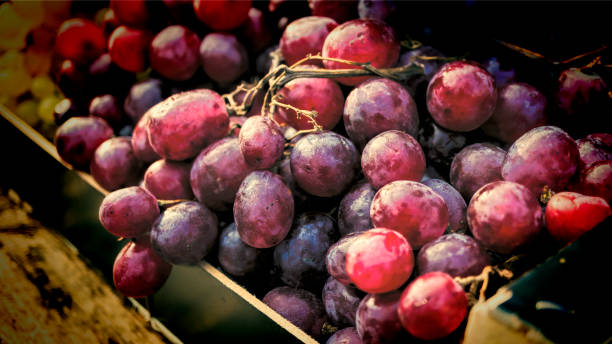 istock Grape, bunch,  red grapes, fresh raw lot,  store window 1066464934