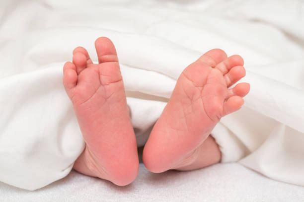 istock Newborn baby feet in bed under white blanket 1066472616