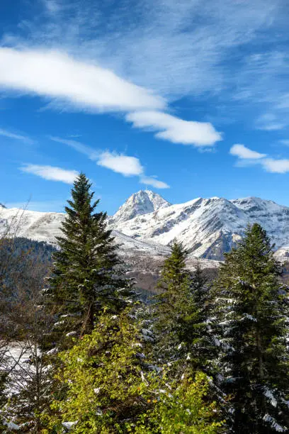 Photo of view of fir trees in french pyrenees mountains with Pic du Midi de Bigorre in background