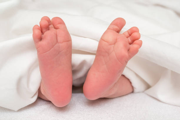 istock Newborn baby feet in bed under white blanket 1066475208