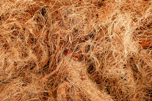 texture Coconut fiber abstract background