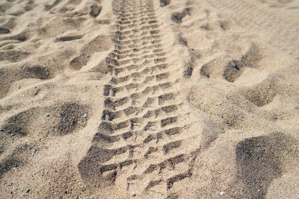 istock Wheel trail in the sand 1066488278