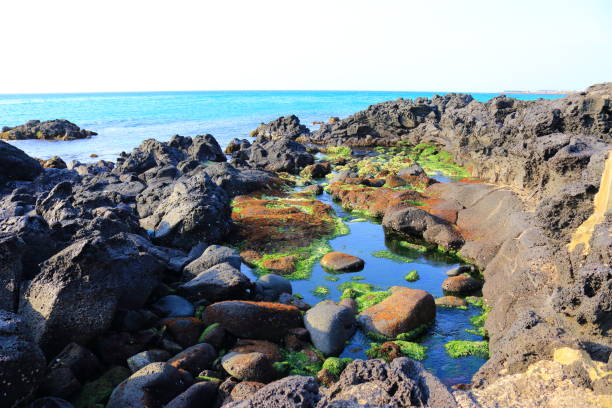 istock Sea, Kwakjiri, Rural 1066490578