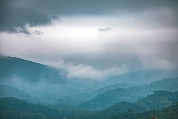 Misty Peak, Tai Mo Shan, Hong Kong